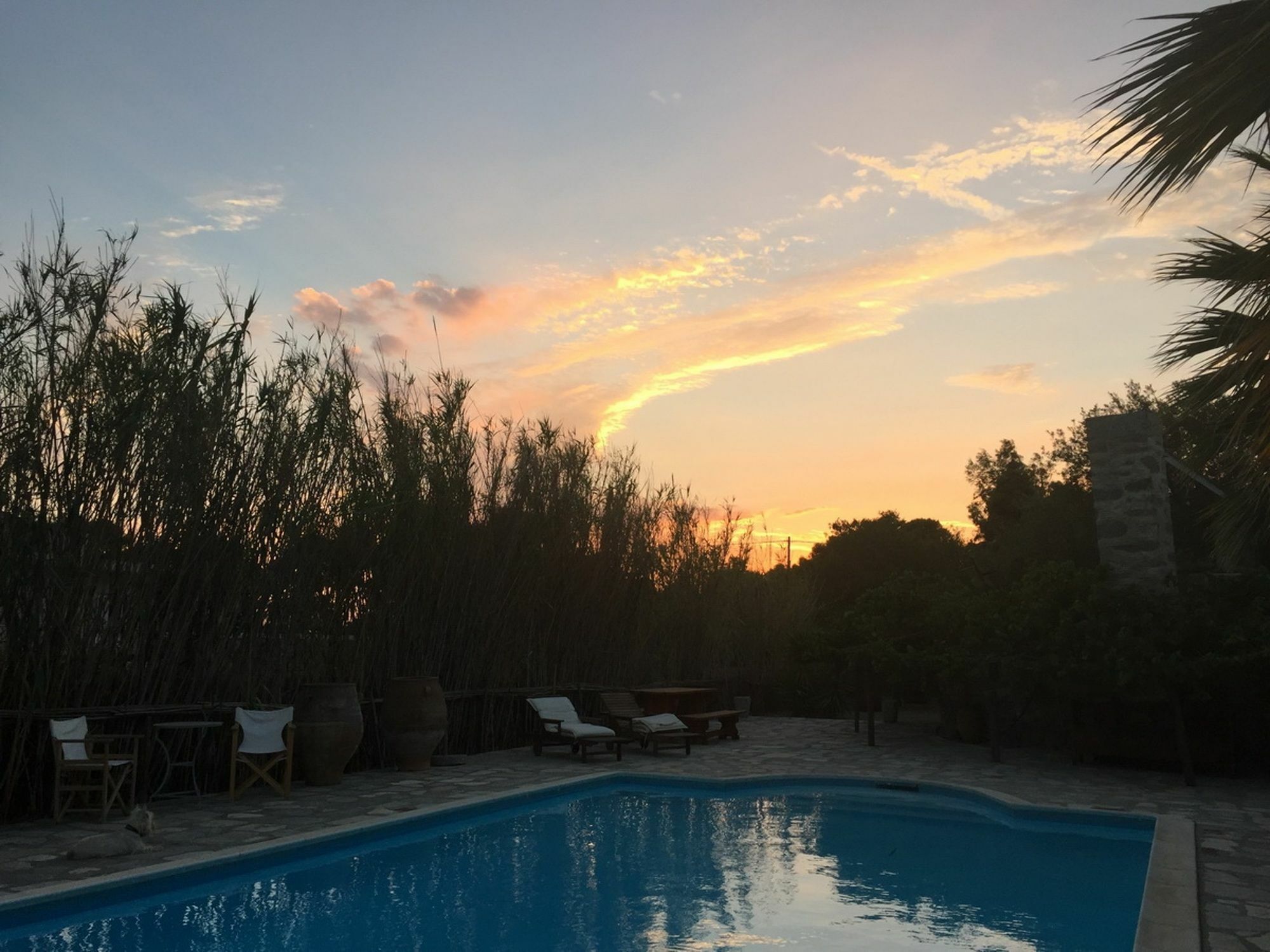 Aristocratic 19Th Century Neo Classical Mansion With Private Pool Φοίνικας Εξωτερικό φωτογραφία